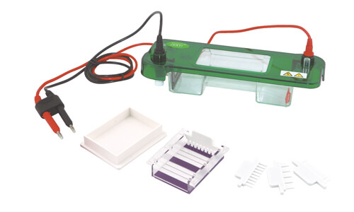 Horizontal Electrophoresis: Common Mistakes and How to Avoid Them in Daily Operation 2026