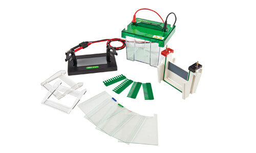 Mini-Protean Vertical Electrophoresis YR03425