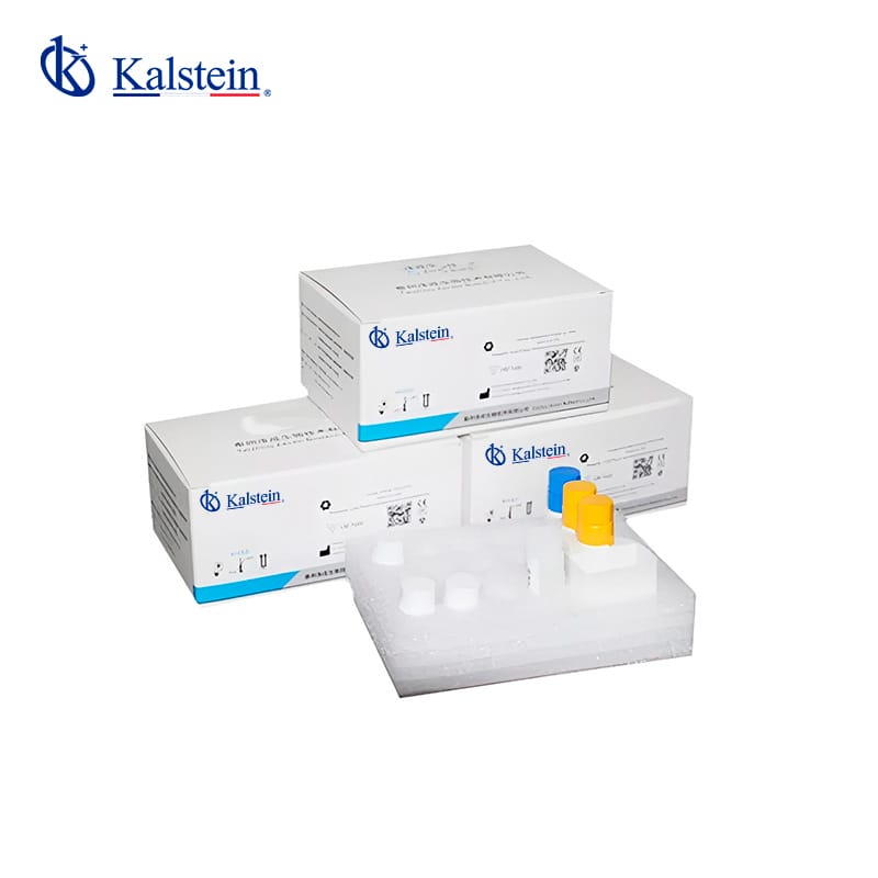 Chemiluminescence Reagents: Practical Guide for Use in 2026
