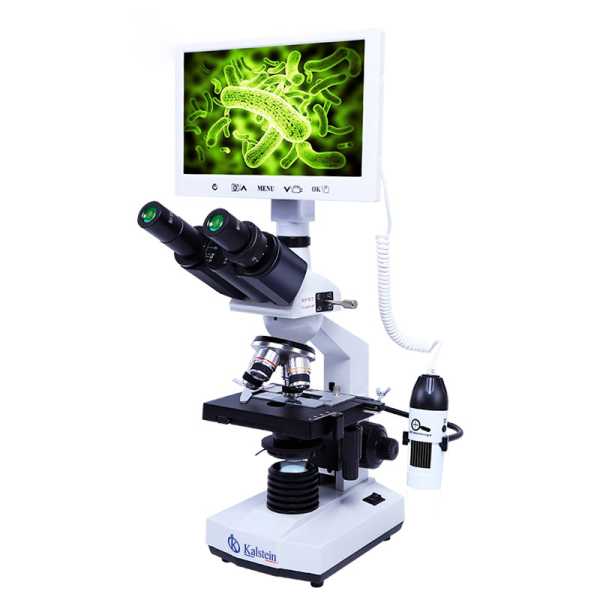 Microscope: Halogen vs. LED