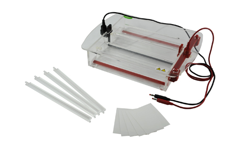What is electrophoresis?