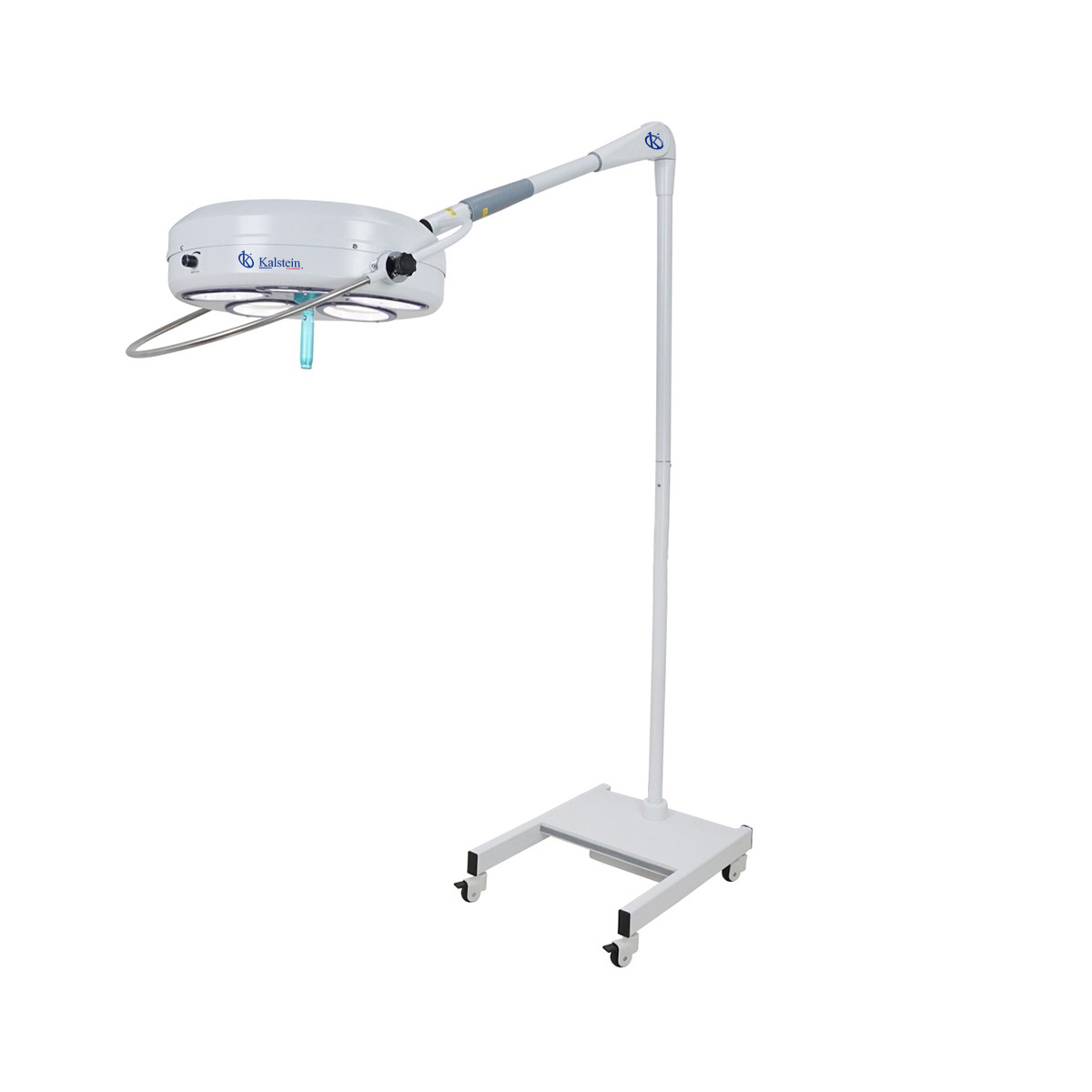 Discover the Illuminating Power of Kalstein’s Veterinary Lamps