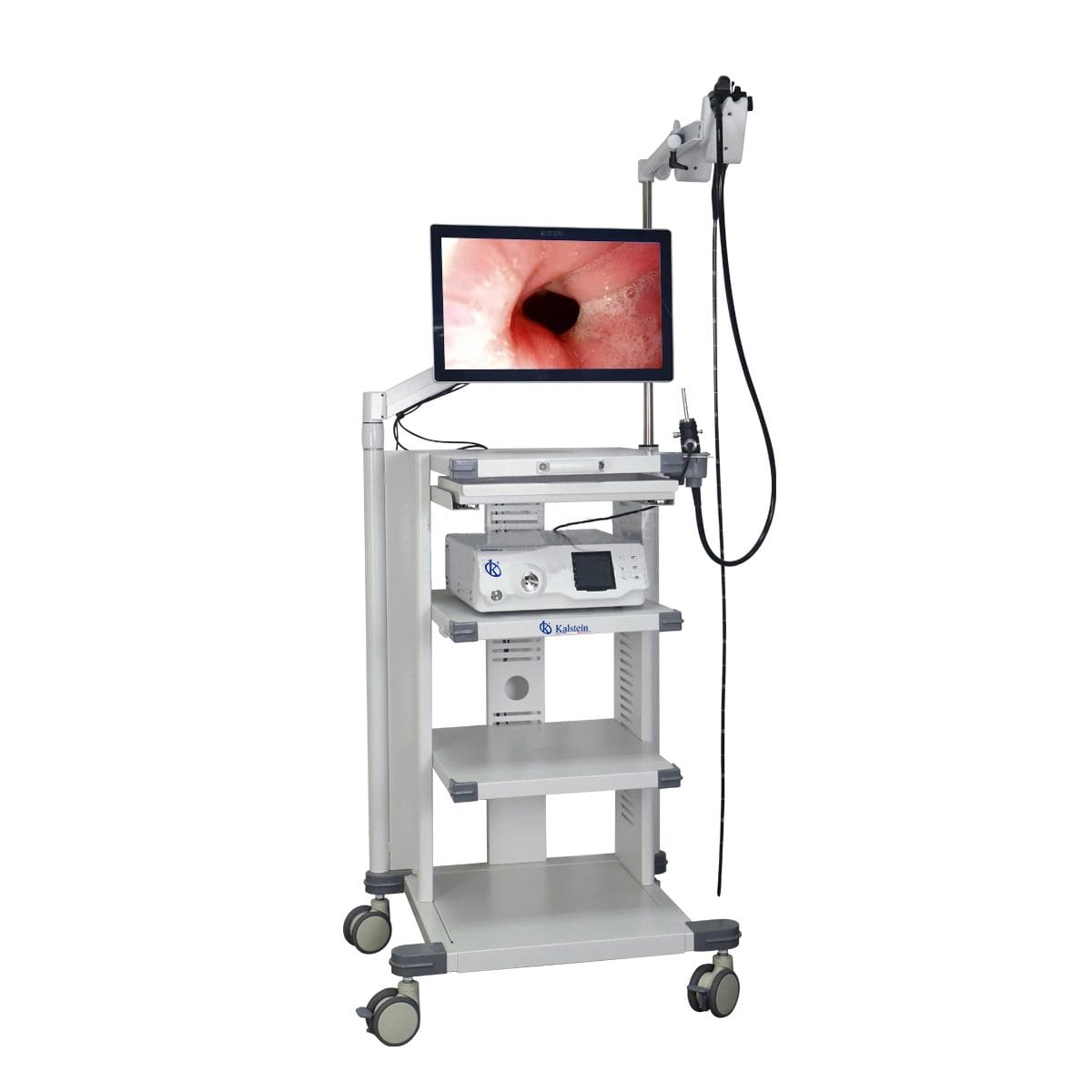 Increasing Accuracy in the Identification of Veterinary Diseases with the Endoscopic Camera System