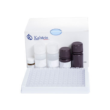 Clinical Chemistry Reagents: Practical Applications and Techniques 2026