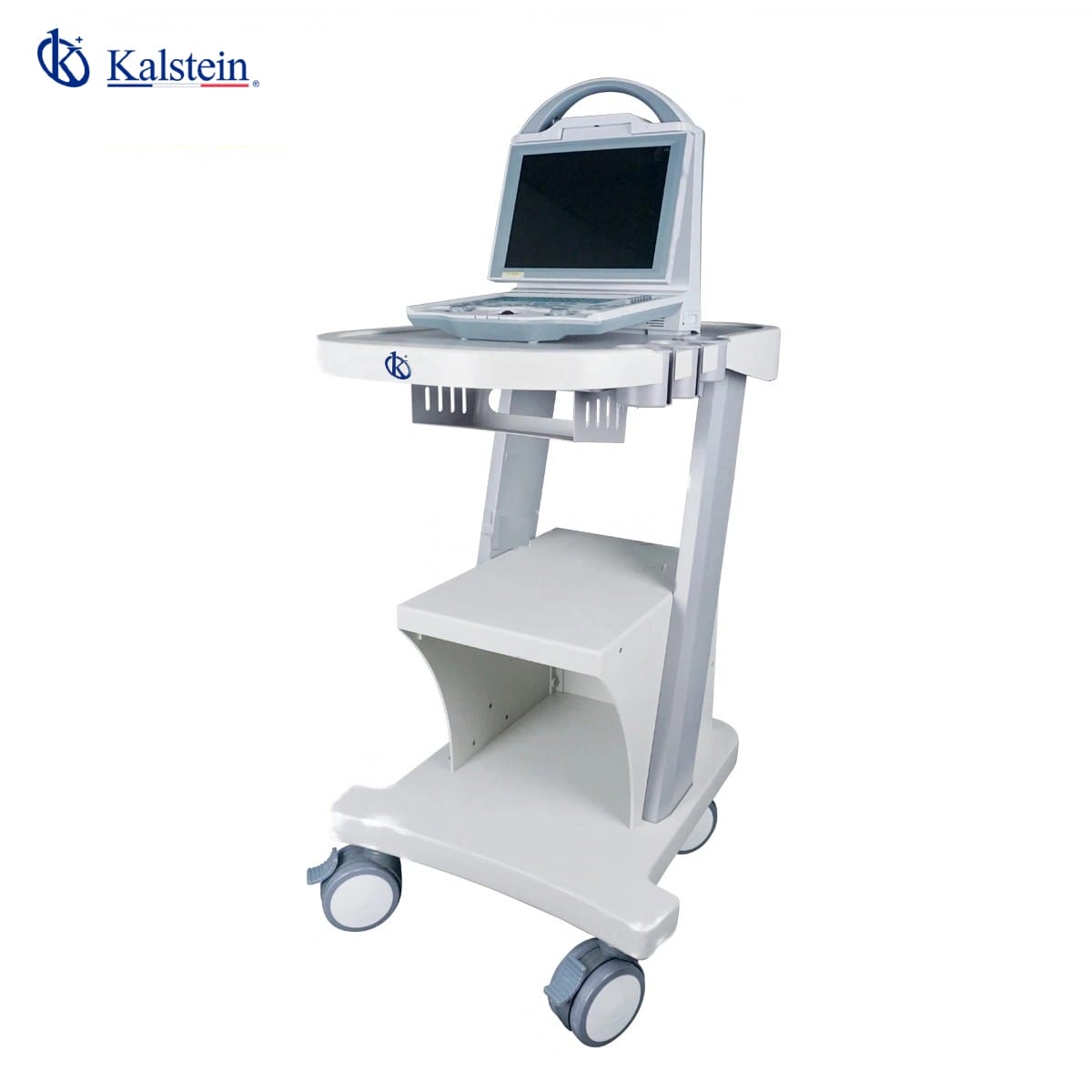 Revolutionizing Veterinary Diagnostics: A Comprehensive Guide to Kalstein's Veterinary Ultrasound