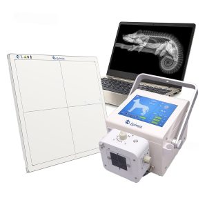 Exploring the World of Veterinary X-Ray: A Comprehensive Insight into Kalstein's Innovative Solutions