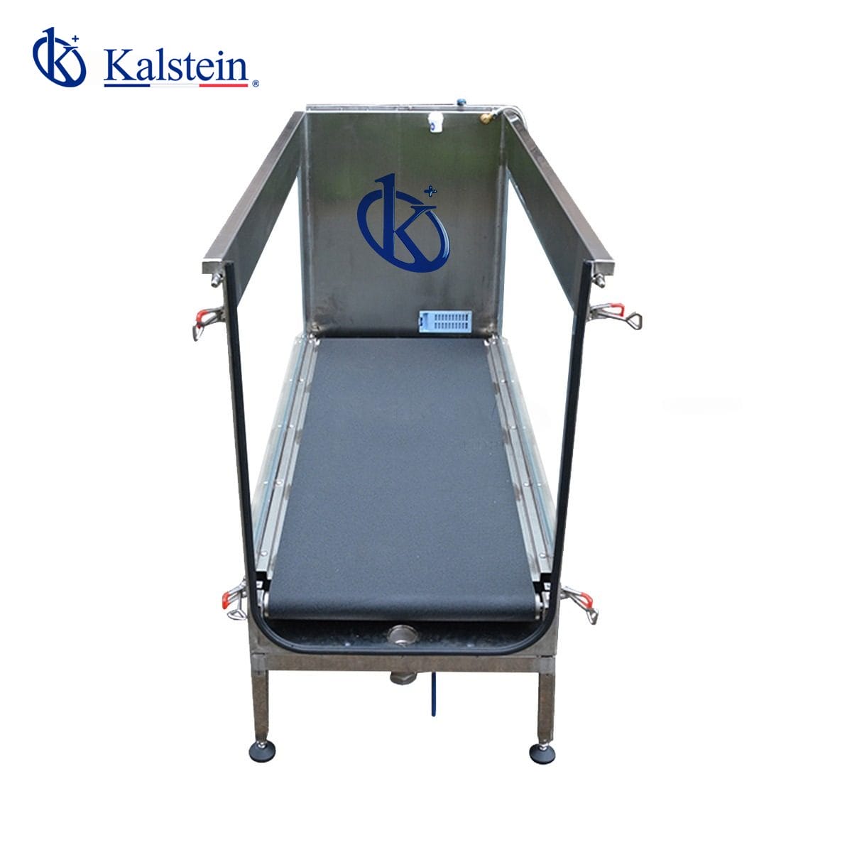 Revolutionizing Animal Rehabilitation: Exploring Veterinary Underwater Treadmill by Kalstein