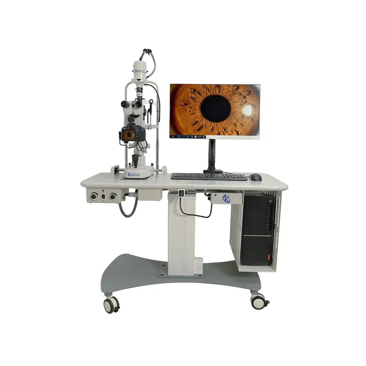 Importance of Kalstein Veterinary Lamps