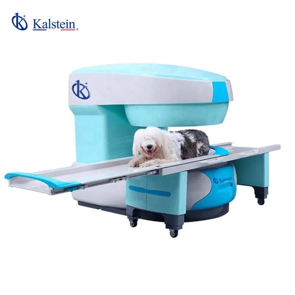 Enhancing Animal Care with Advanced Veterinary MRI Technology