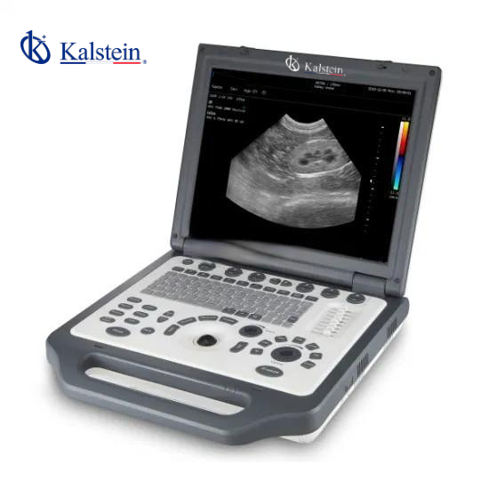 Exploring Veterinary Ultrasound: Innovation and Precision at Its Best