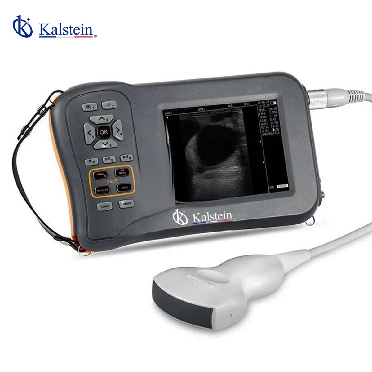 Doppler Technology in Veterinary Ultrasound: Maximum Precision in Results