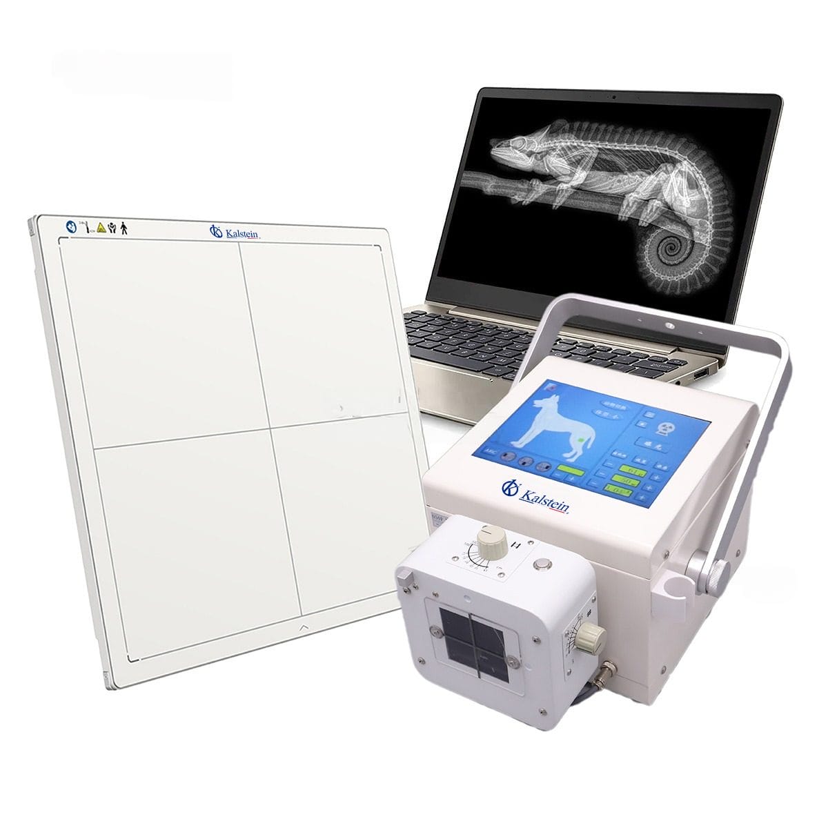 The Future of Veterinary Care: Unveiling the Versatility of Kalstein Veterinary X-Ray