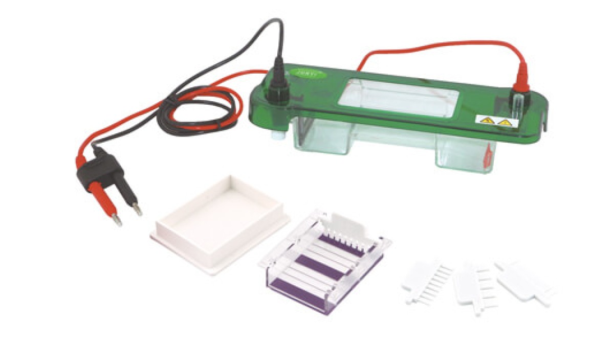 Horizontal Electrophoresis: Common Mistakes and How to Avoid Them in Daily Operation 2026